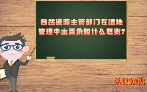 【自然资源知识】—自然资源主管部门在湿地管理中主要承担什么职责?哔哩哔哩bilibili