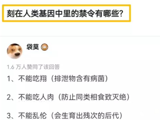 刻在人类基因中的禁令有哪些哔哩哔哩bilibili