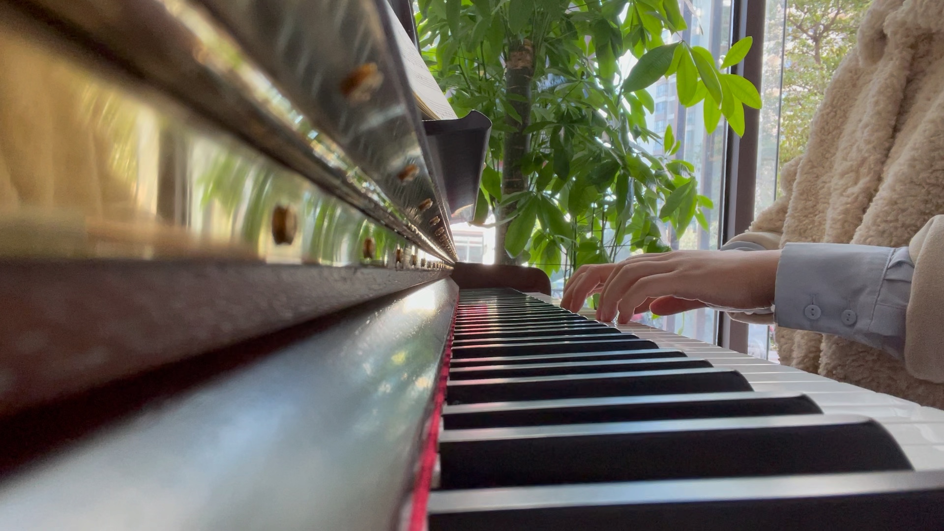 自学打卡四五天 小汤2《祝愿星》 今天是没有忘记早早练琴的一天 然后