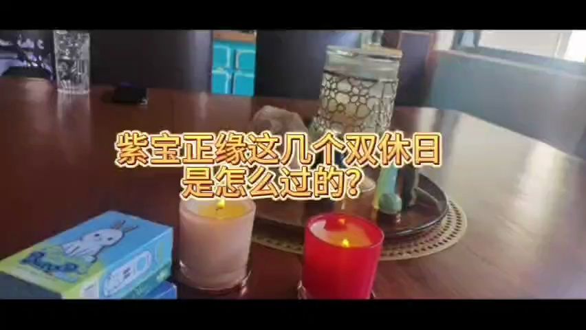 紫宝正缘这几个双休日怎么过的?哔哩哔哩bilibili