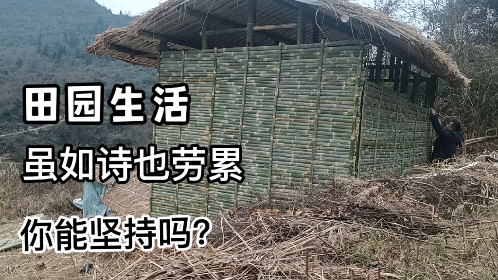 竹屋建设不停歇 漂亮房子费时费力 独居荒野养殖 田园生活的向往哔哩哔哩bilibili