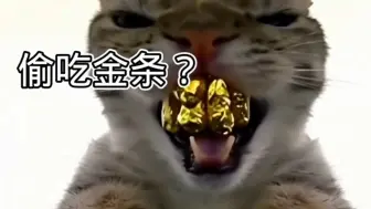 Télécharger la video: 狡猾的小猫偷吃了那么多金条