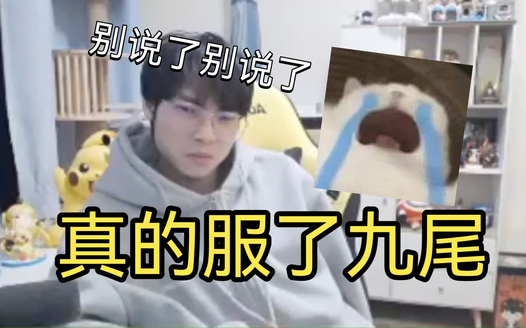 【九尾|gemini】葛大爷根本说不过九尾啊