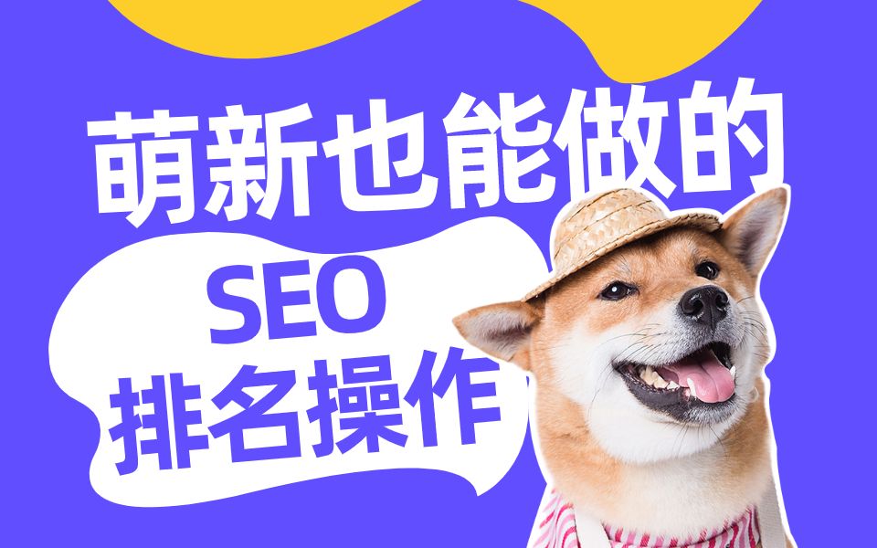 新手怎么做SEO网站排名 ?给新手的SEO优化方案!哔哩哔哩bilibili