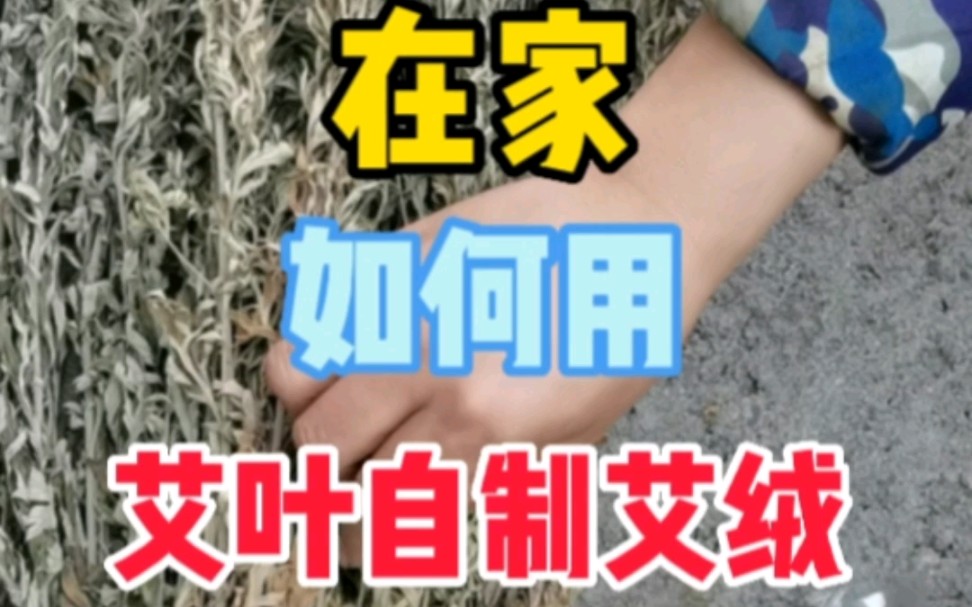 在家如何用艾叶自制艾绒哔哩哔哩bilibili