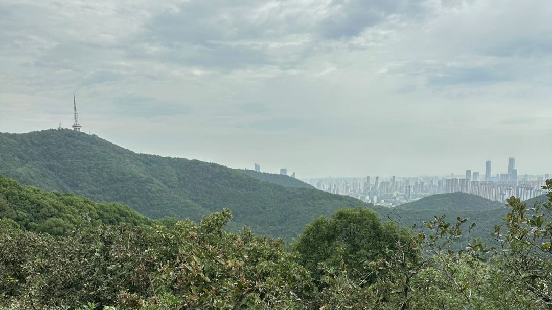 无锡最强XC路线惠山对面的莲花山真是好玩极了