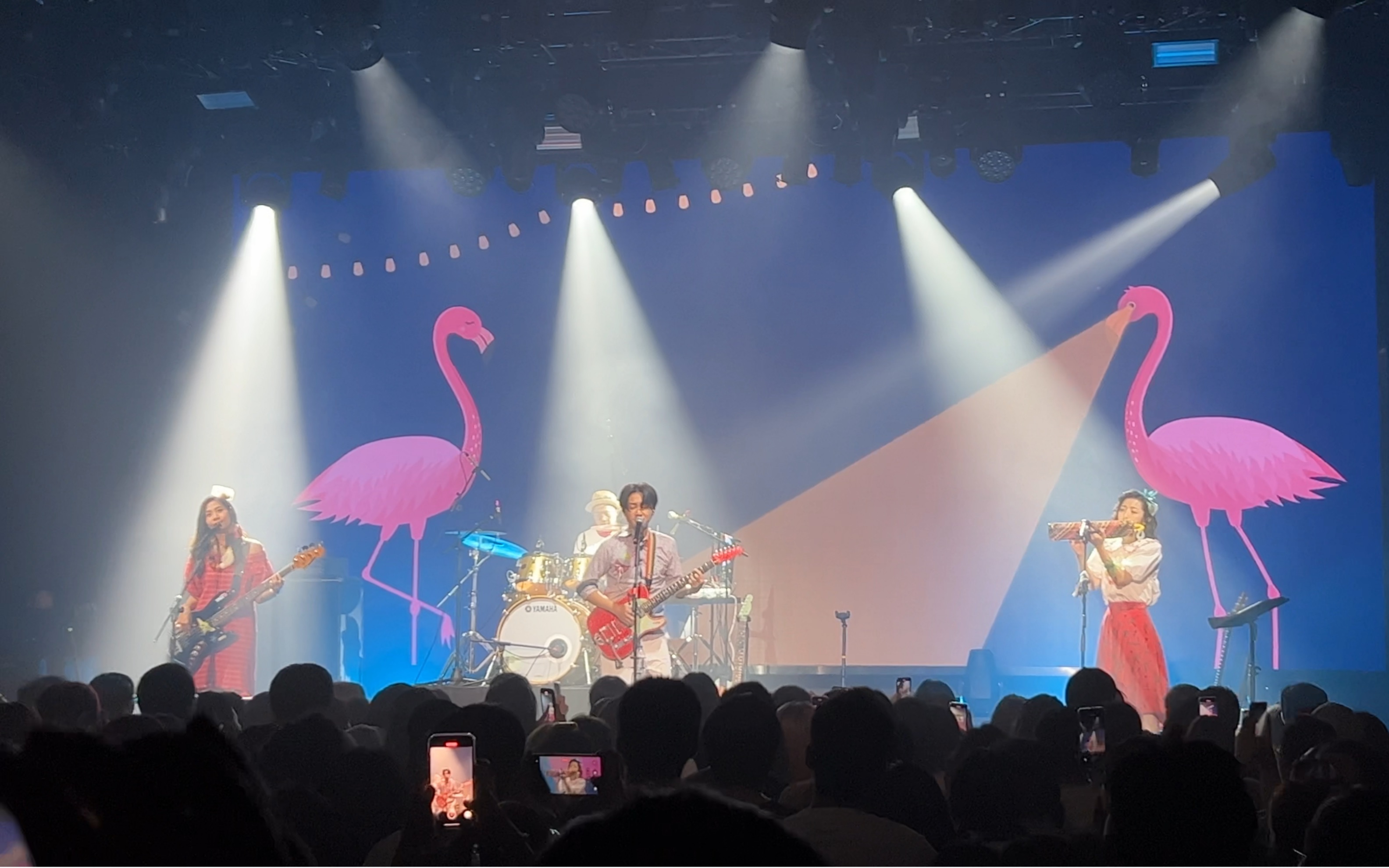 旺福 小美人 (live session) ——上海9.24福摇直上