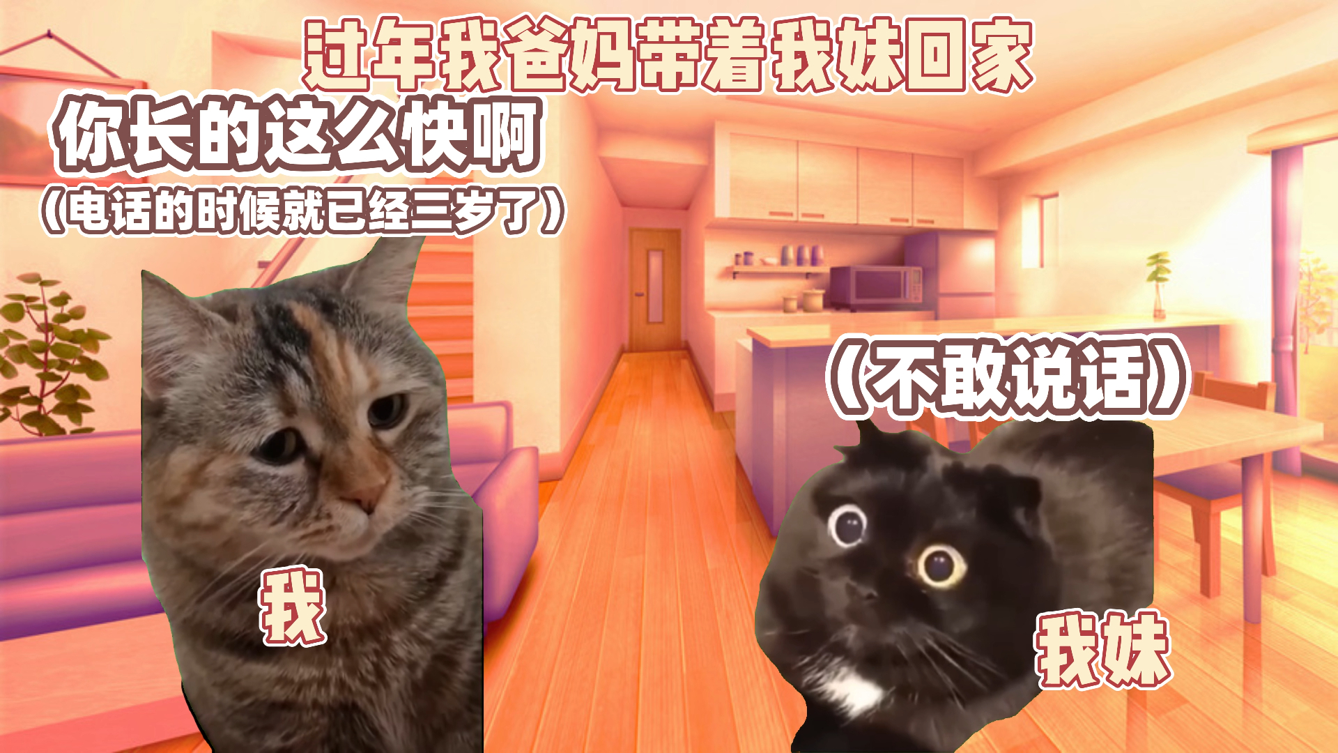 [图]【猫猫meme】《我的“幸福人生”1》