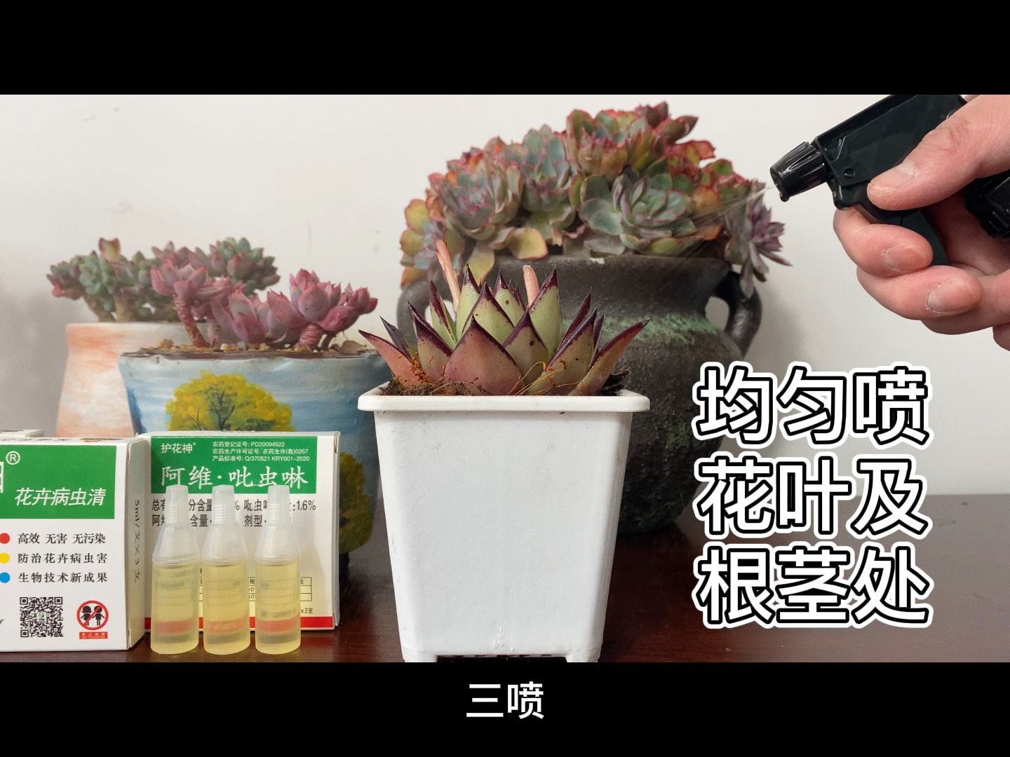 护花神阿维ⷮŠ吡虫啉(花卉病虫清)具体用法详解哔哩哔哩bilibili