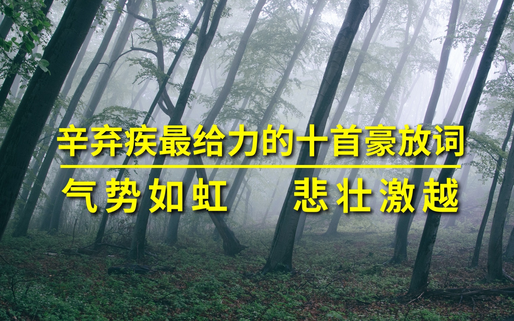 辛弃疾最给力的十首豪放词,气势如虹 悲壮激越.哔哩哔哩bilibili