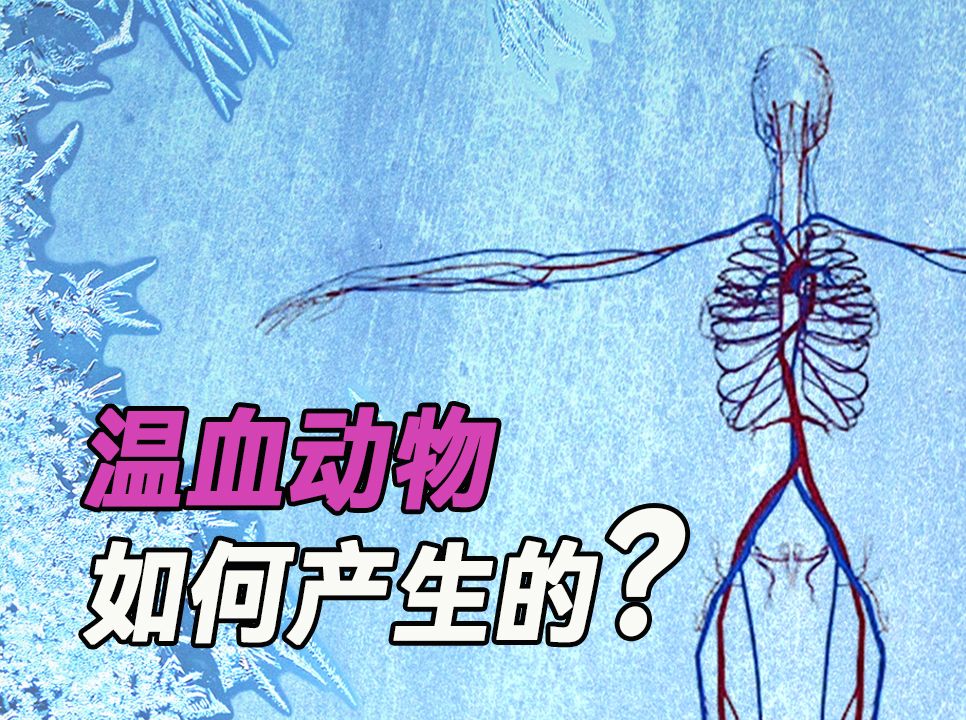 我们为什么一定要进化成温血动物呢?哔哩哔哩bilibili