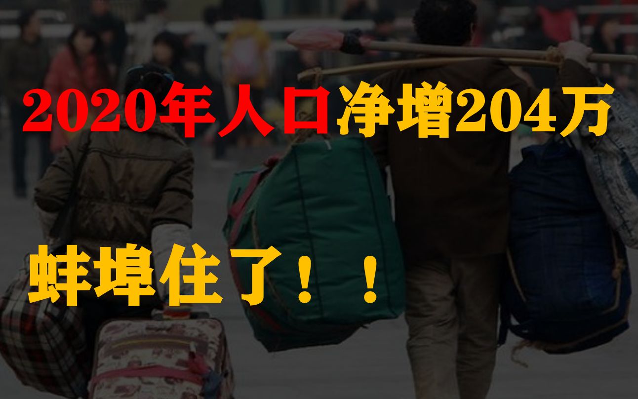 2020年人口净增204万,蚌埠住了哔哩哔哩bilibili