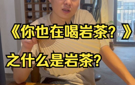 再聊《你也在喝岩茶?》之什么是岩茶?哔哩哔哩bilibili