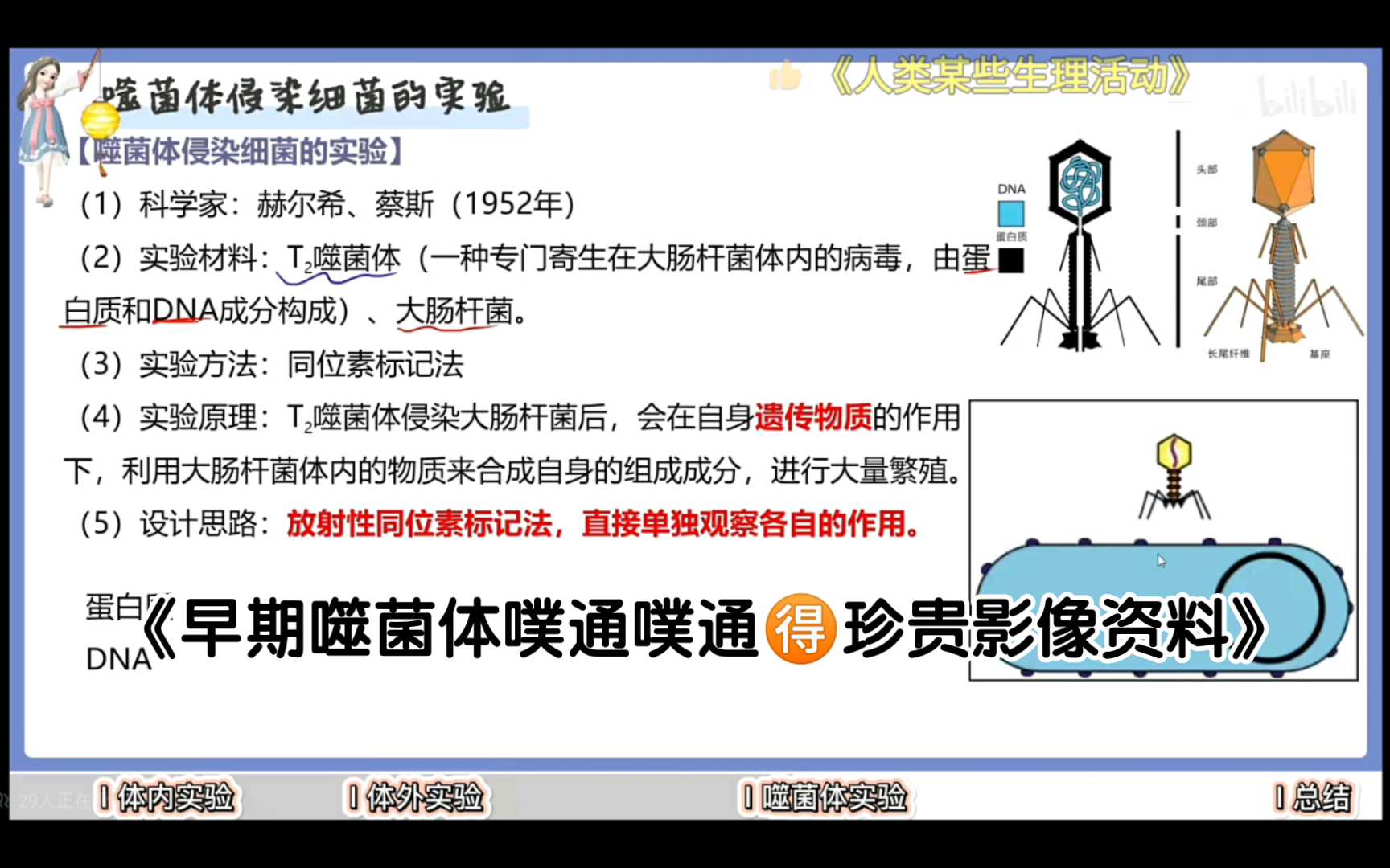 《早期T2噬菌体“噗通噗通”𐟉珍贵影像资料》哔哩哔哩bilibili