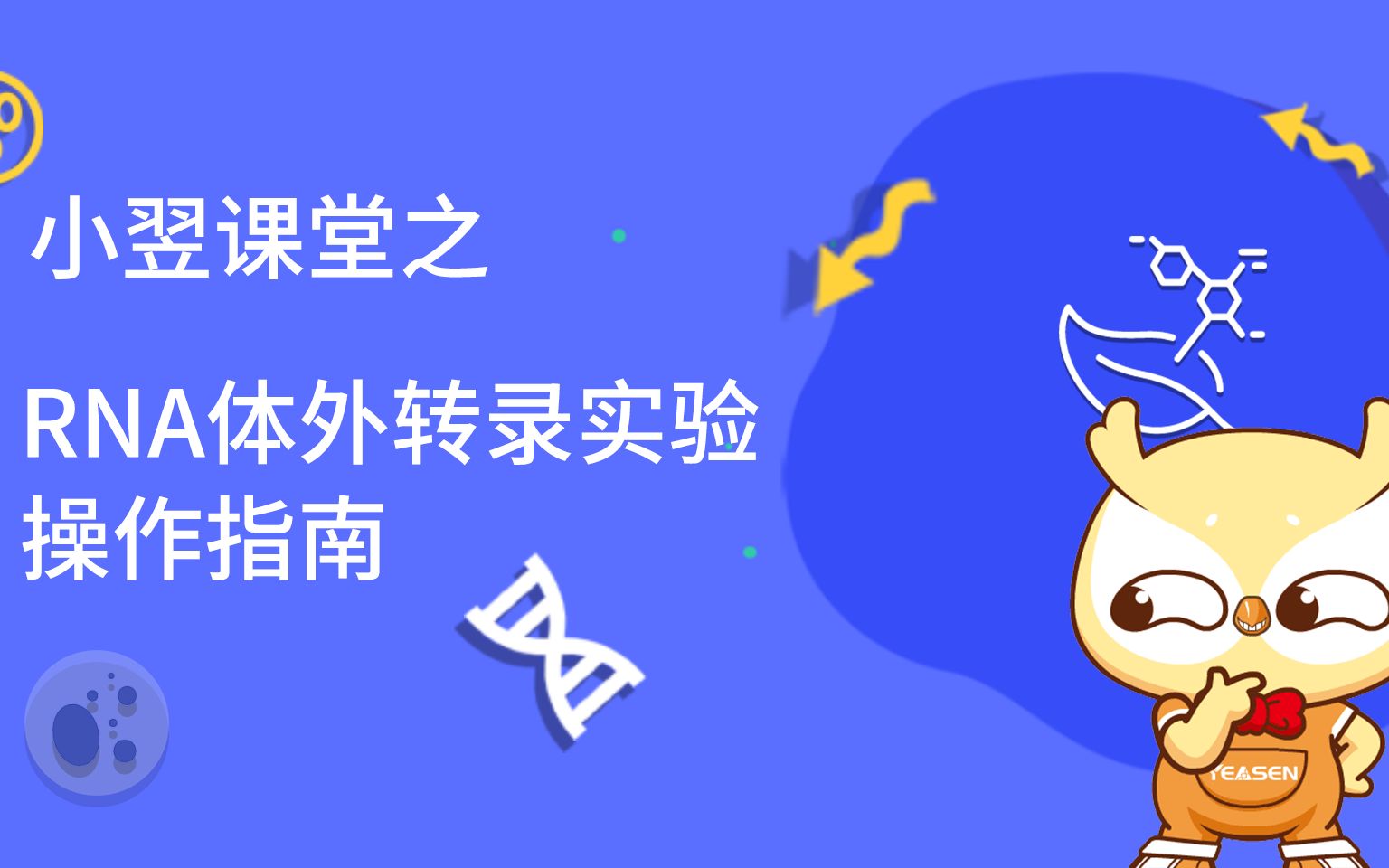 RNA体外转录实验操作指南哔哩哔哩bilibili