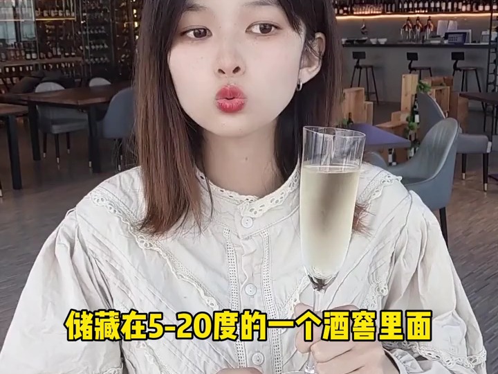 起泡酒的储存#红酒储存方法哔哩哔哩bilibili