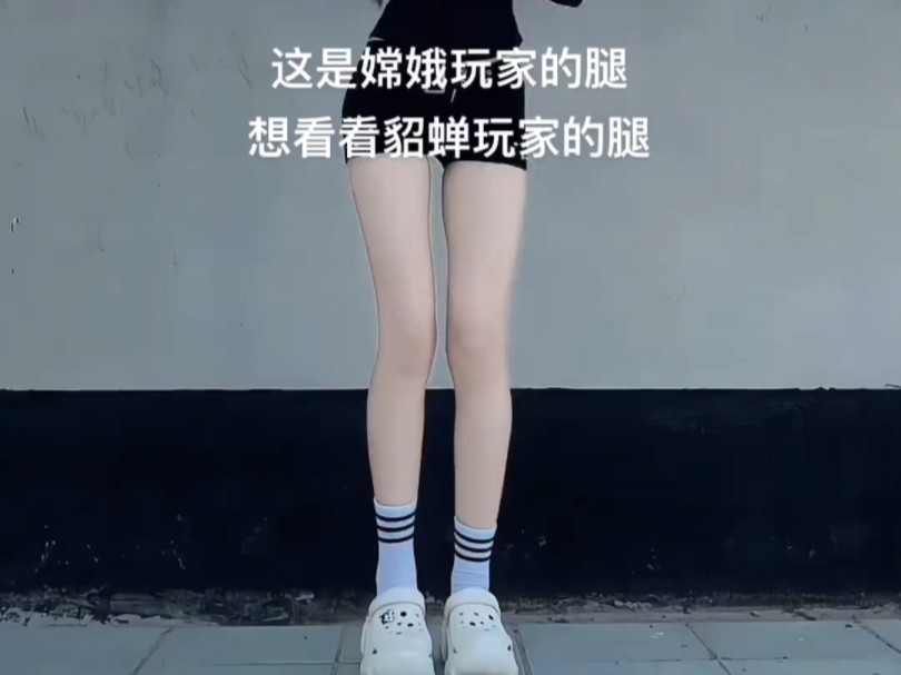 大妲是什么东西哔哩哔哩bilibili