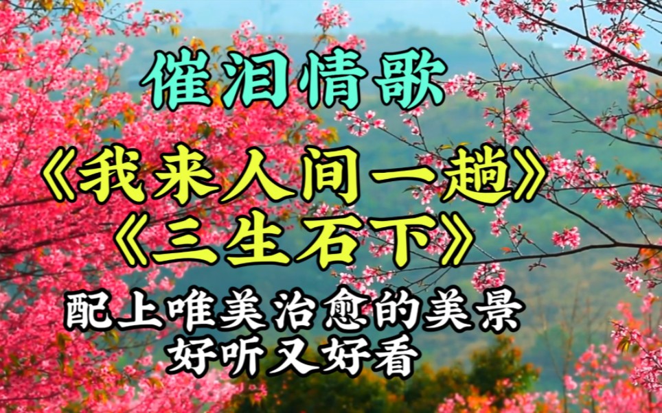 催淚傷感歌曲 我來人間一趟> 三生石下>配上唯美治癒的美景,好聽又