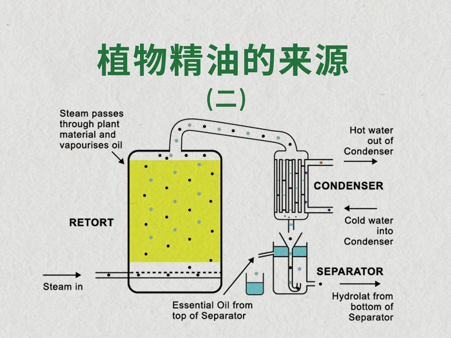 植物精油的提取(2):植物精油的提取方法#精油#精油提取哔哩哔哩bilibili