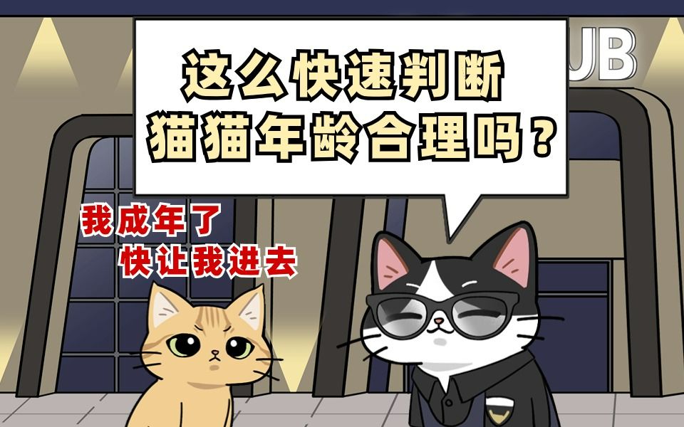 你知道怎么判断猫咪年龄吗?哔哩哔哩bilibili