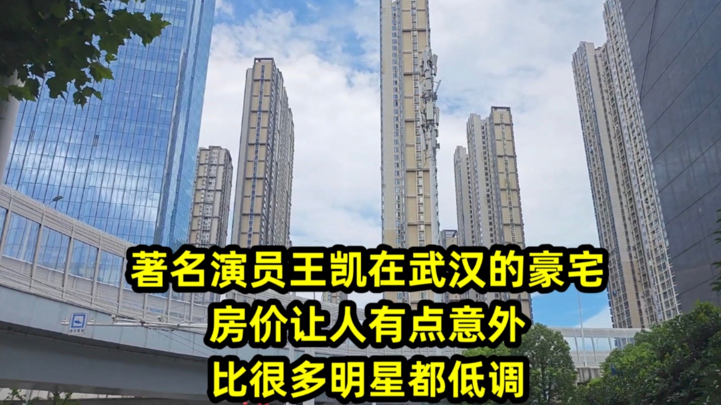 著名演员王凯在武汉的豪宅,房价让人有点意外,比很多明星都低调