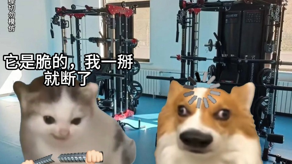 离谱小说36：你说你把什么掰断了？！海报