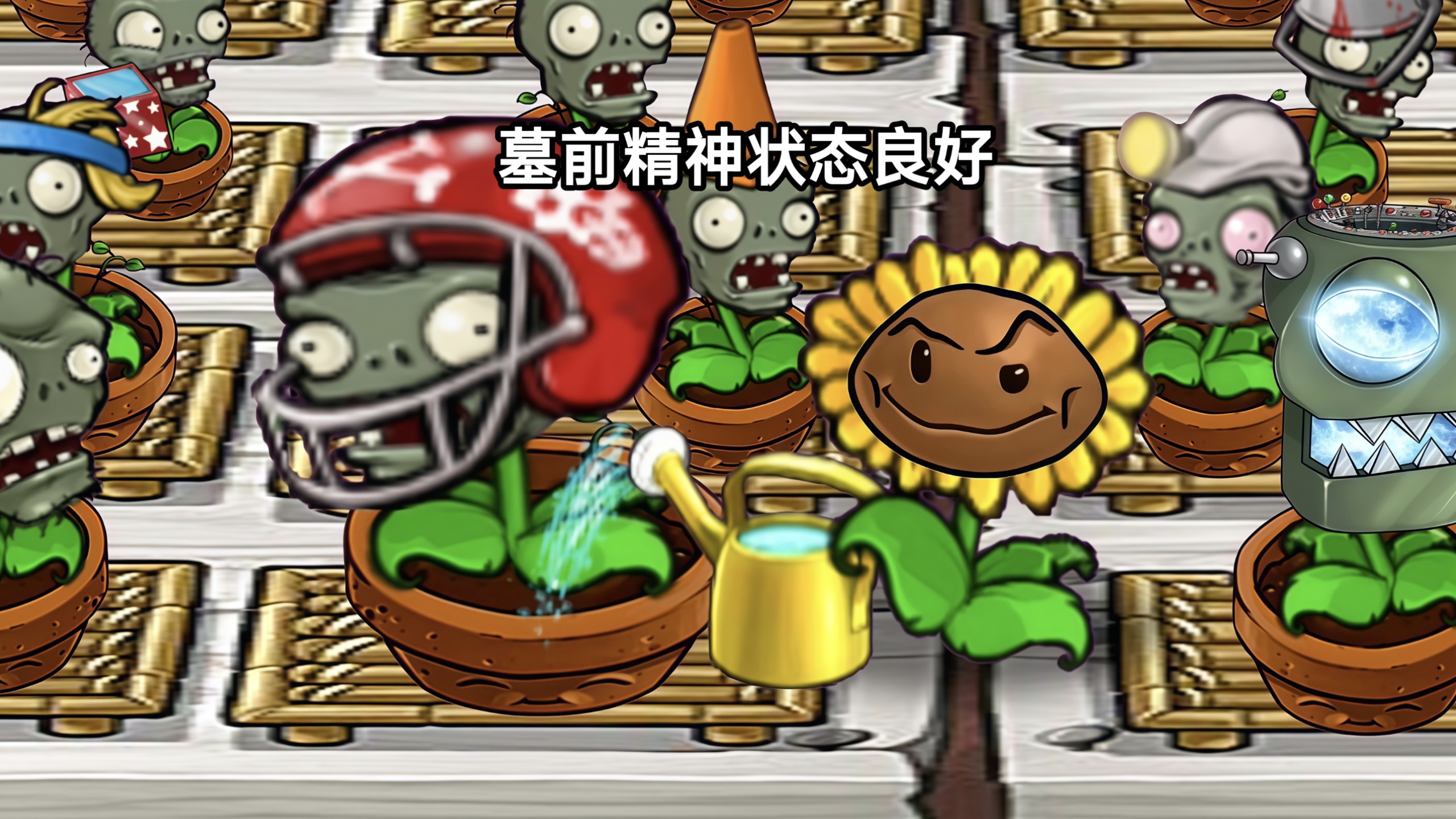 墓前精神状态良好3.0