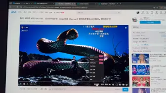 Download Video: 最新版Chrome浏览器已经支持B站播放HDR及杜比视界的视频了