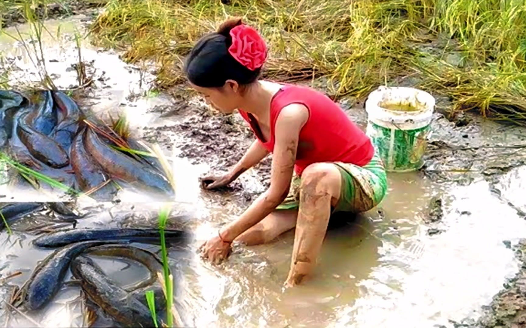 农村抓鱼达人:农村稻田水沟中捕鱼,看看她捉了多少