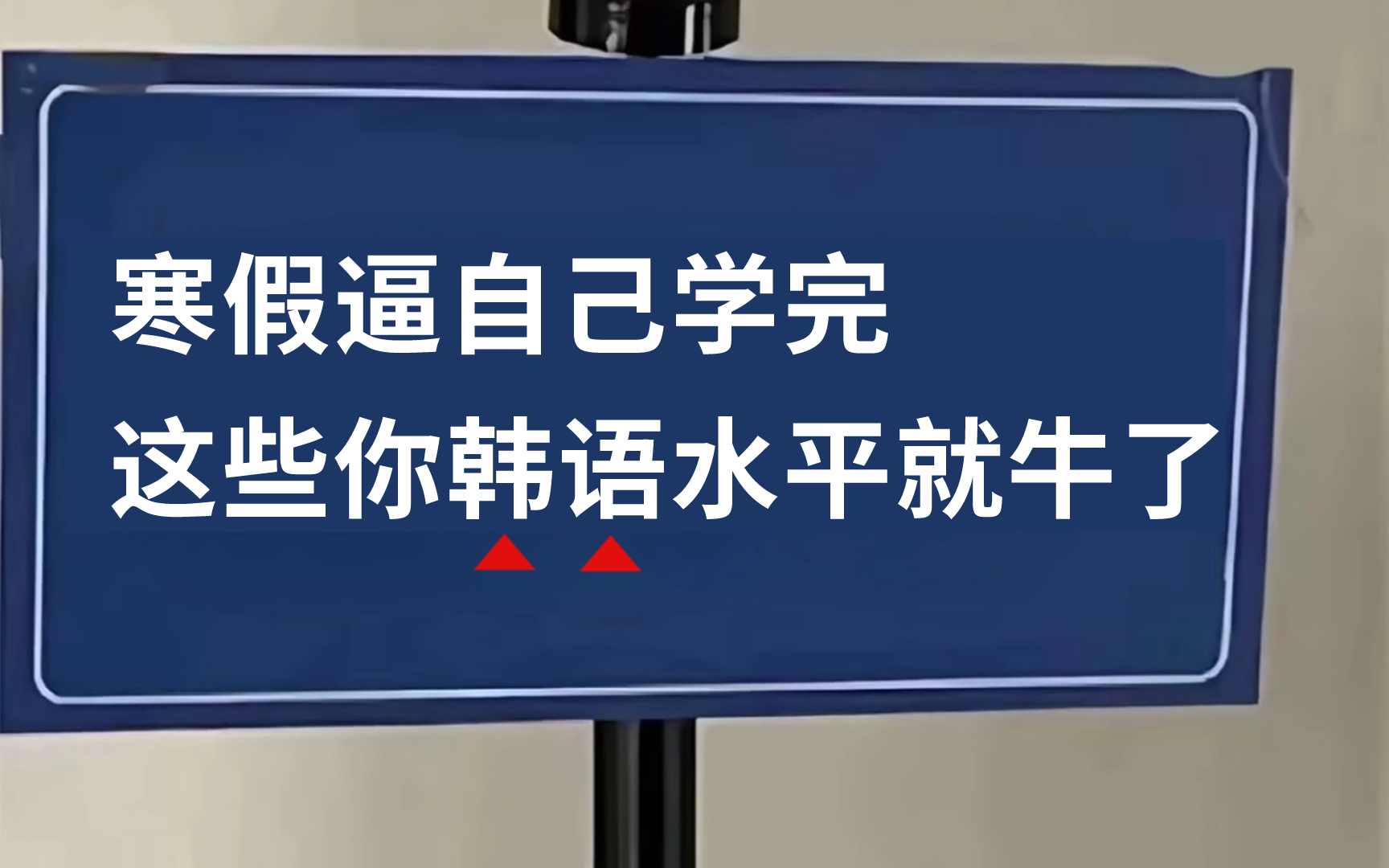 【2024必备韩语教程】如何逼自己寒假30天学会韩语?从零基础小白到韩语topik6大神,学这一套就够了,全干货无废话!哔哩哔哩bilibili