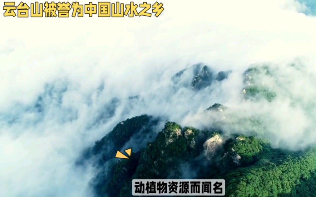 云台山:河南的自然奇观,美丽画卷哔哩哔哩bilibili