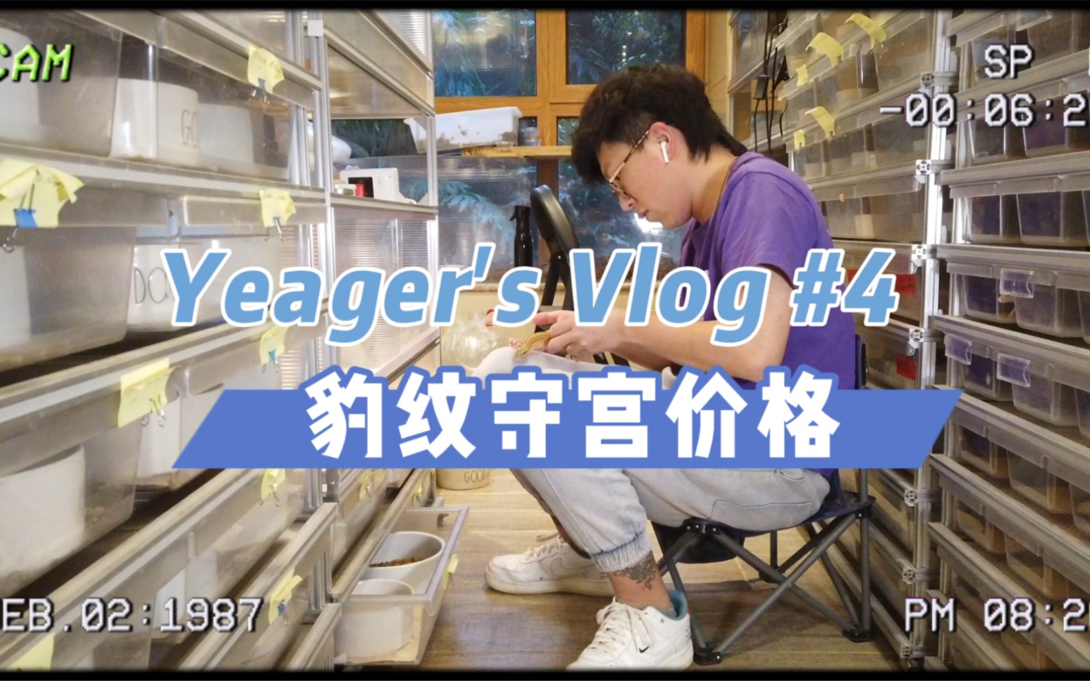 【Vlog4】豹纹守宫价格探讨——豹纹守宫到底值多少钱 什么价格买一只豹纹守宫合理?哔哩哔哩bilibili