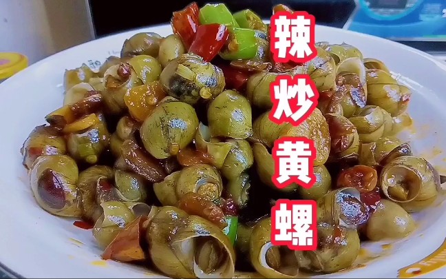 给大家分享一道下酒神器辣炒黄螺一口一下根本停不下来