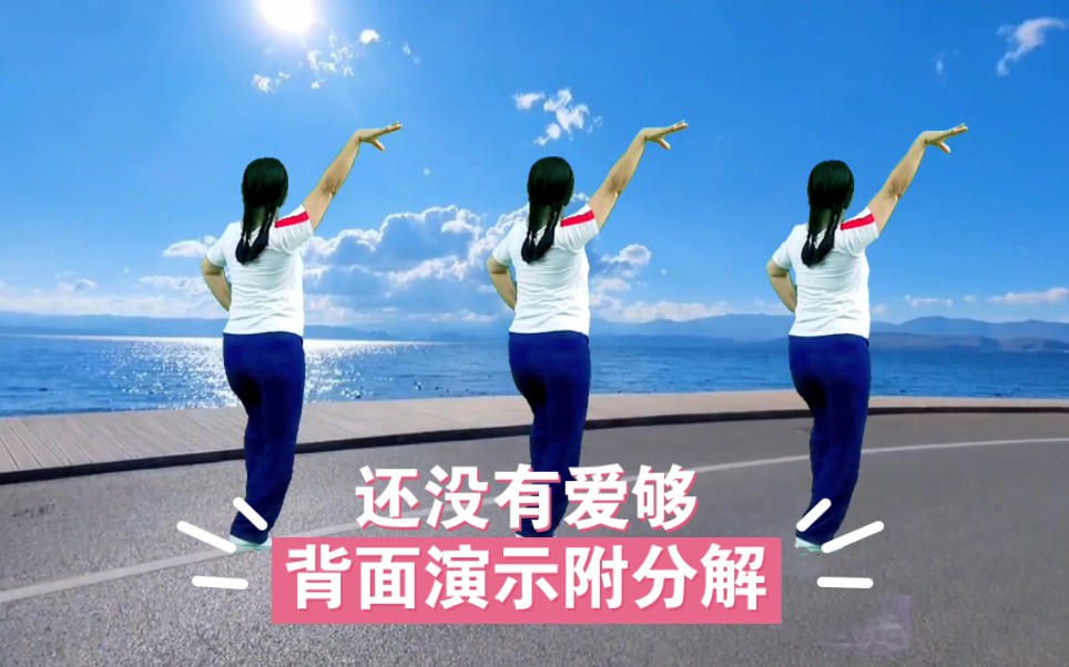 广场舞《还没有爱够》背面演示附分解