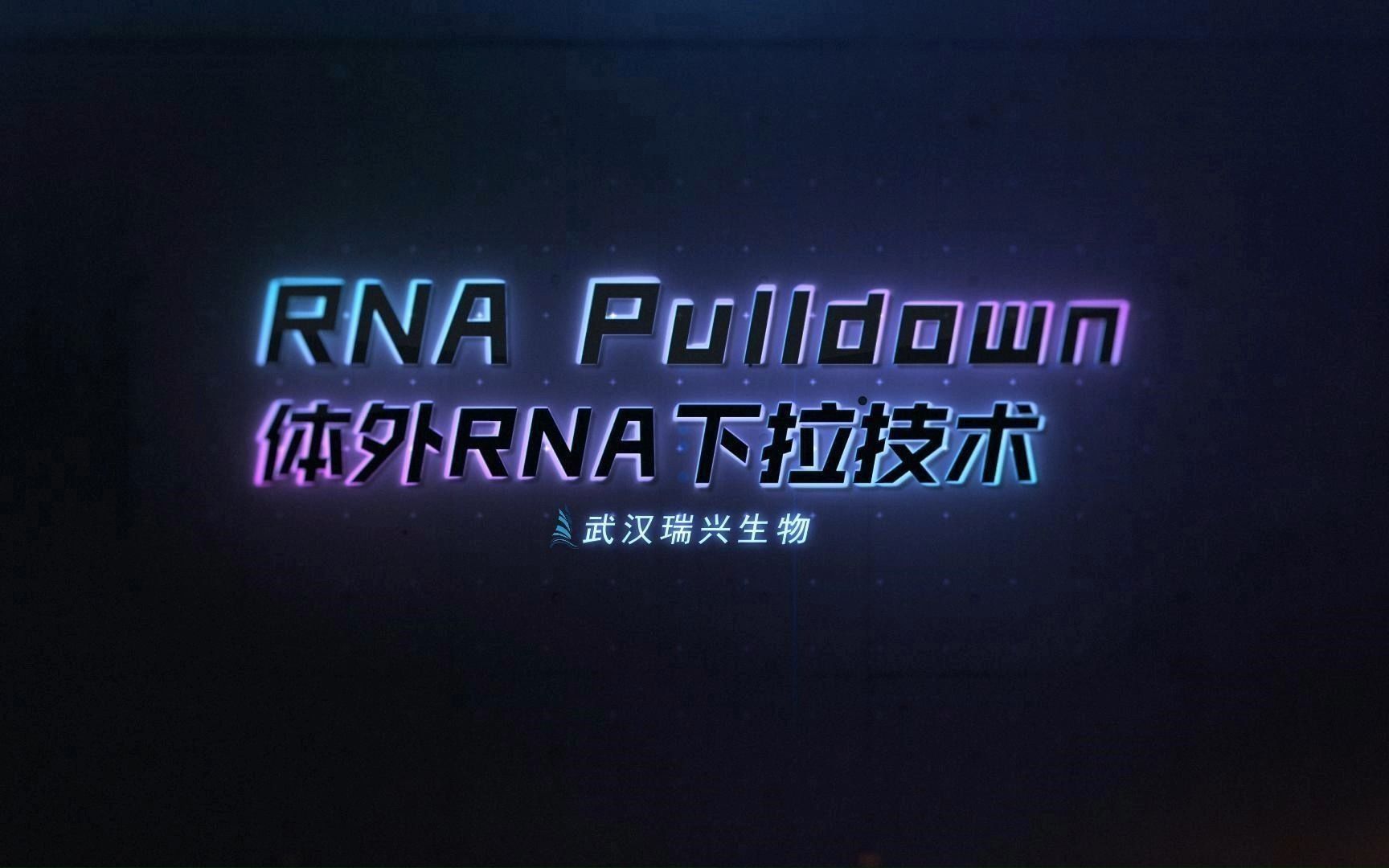 RNA Pulldown技术介绍哔哩哔哩bilibili