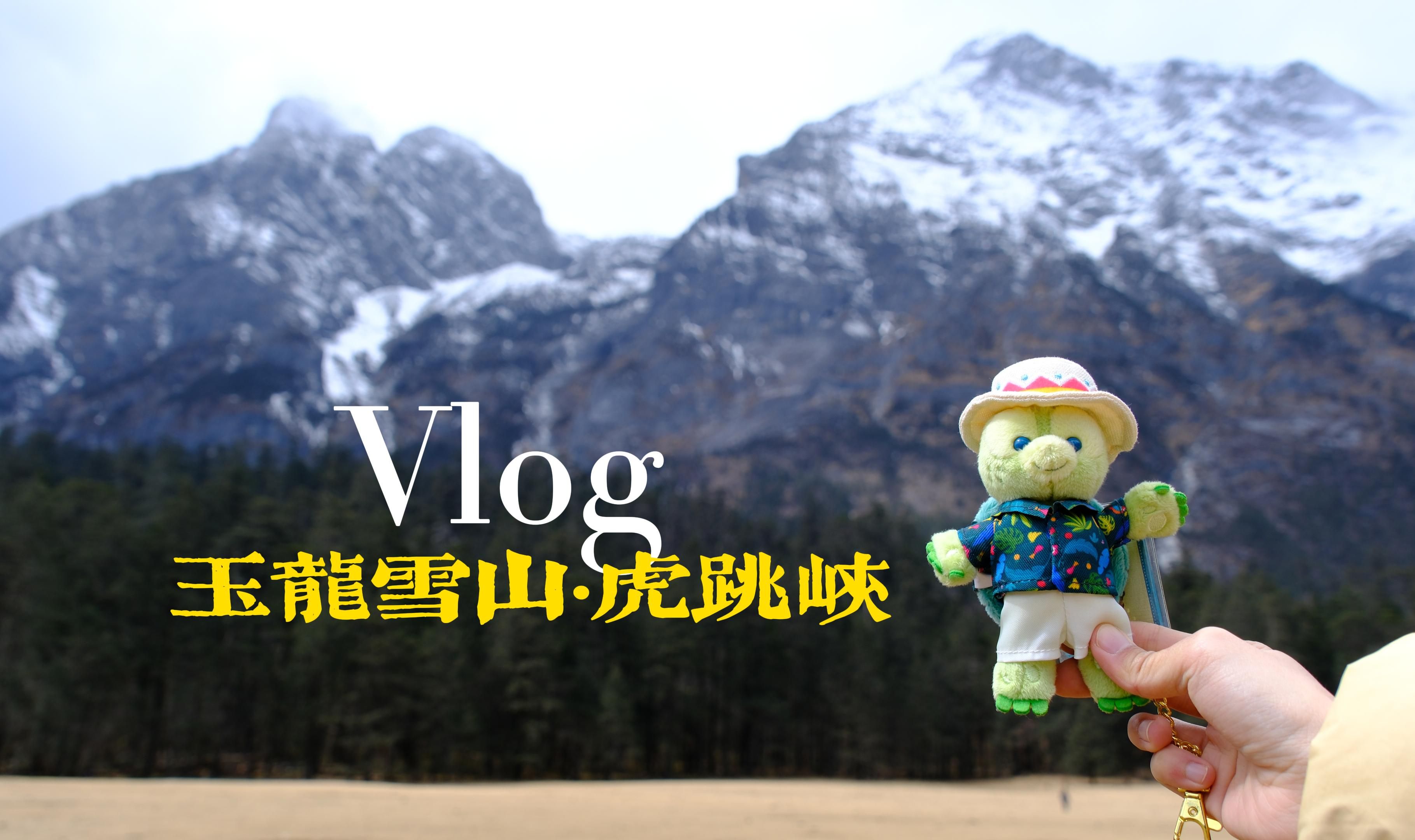 玉龙雪山vlog丨雪山近在眼前的压迫感很震撼!山背面就是金沙江虎跳峡哔哩哔哩bilibili