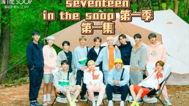 SEVENTEEN in the soop エプロン - メルカリ