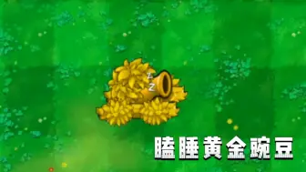 Download Video: 新杂交植物:瞌睡黄金豌豆!