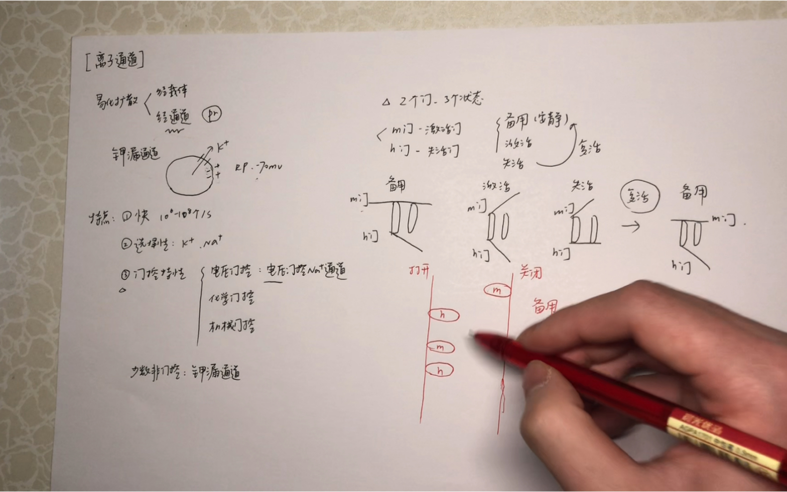 【离子通道】医学生的生理学习分享 好玩的NMDA受体哔哩哔哩bilibili