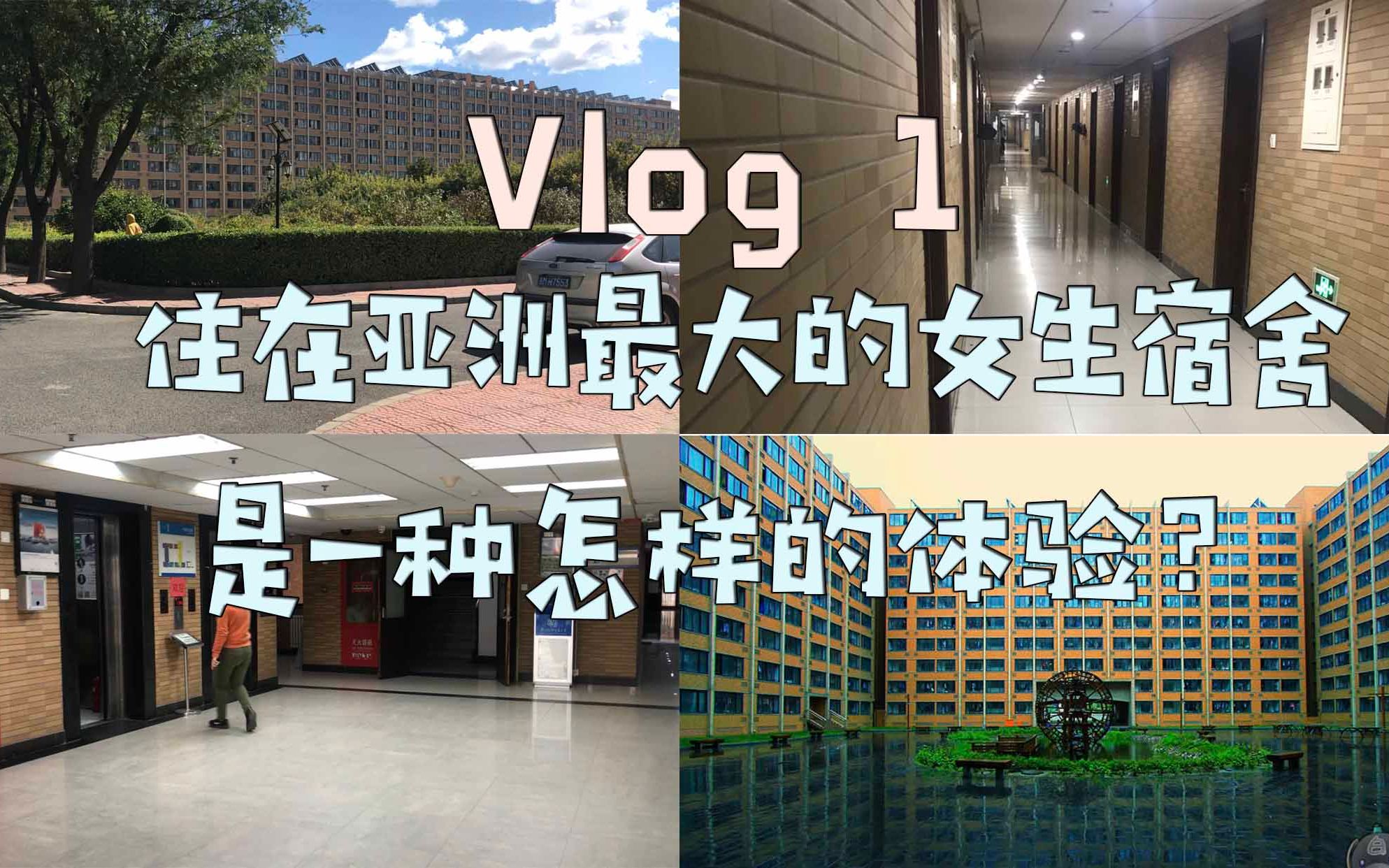 【Vlog 1 | Room Tour】住在亚洲最大的女生宿舍楼是一种怎样的体验/参观宿舍/收纳安利向(欢迎报考对外经贸大学)哔哩哔哩bilibili