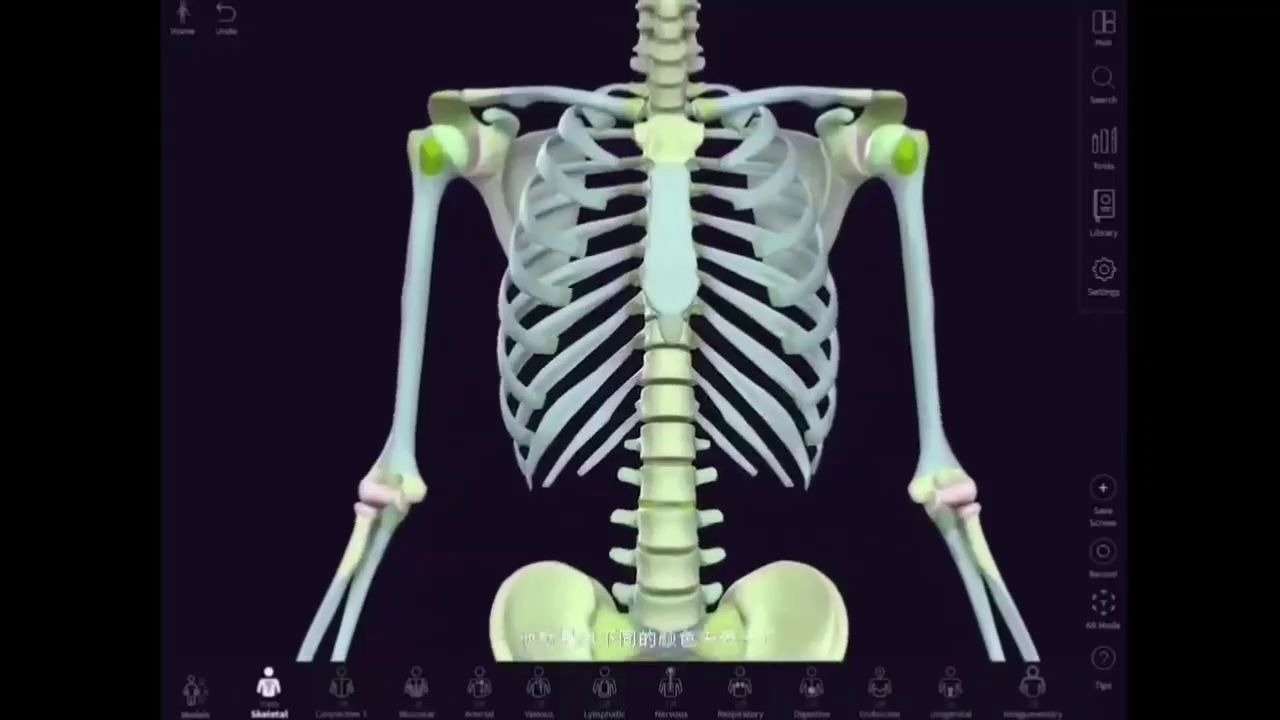 [图]《探索人体奥秘：超好用的3D解剖软件Complete Anatomy》