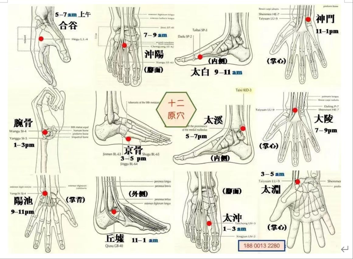 20240910哮喘 (3)哔哩哔哩bilibili