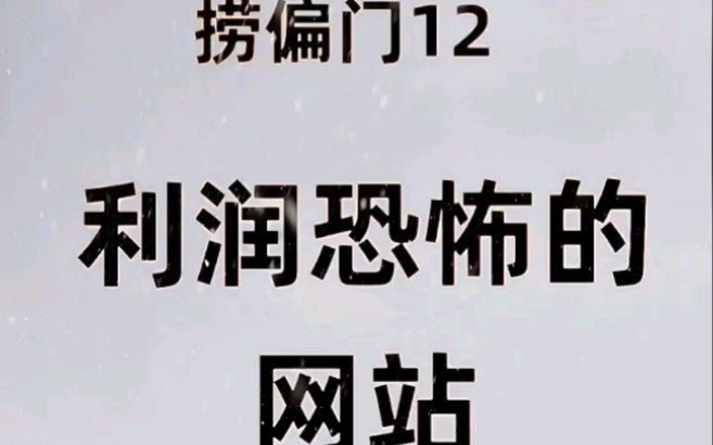 捞偏门12个利润恐怖的网站 ,快收藏一会删.哔哩哔哩bilibili