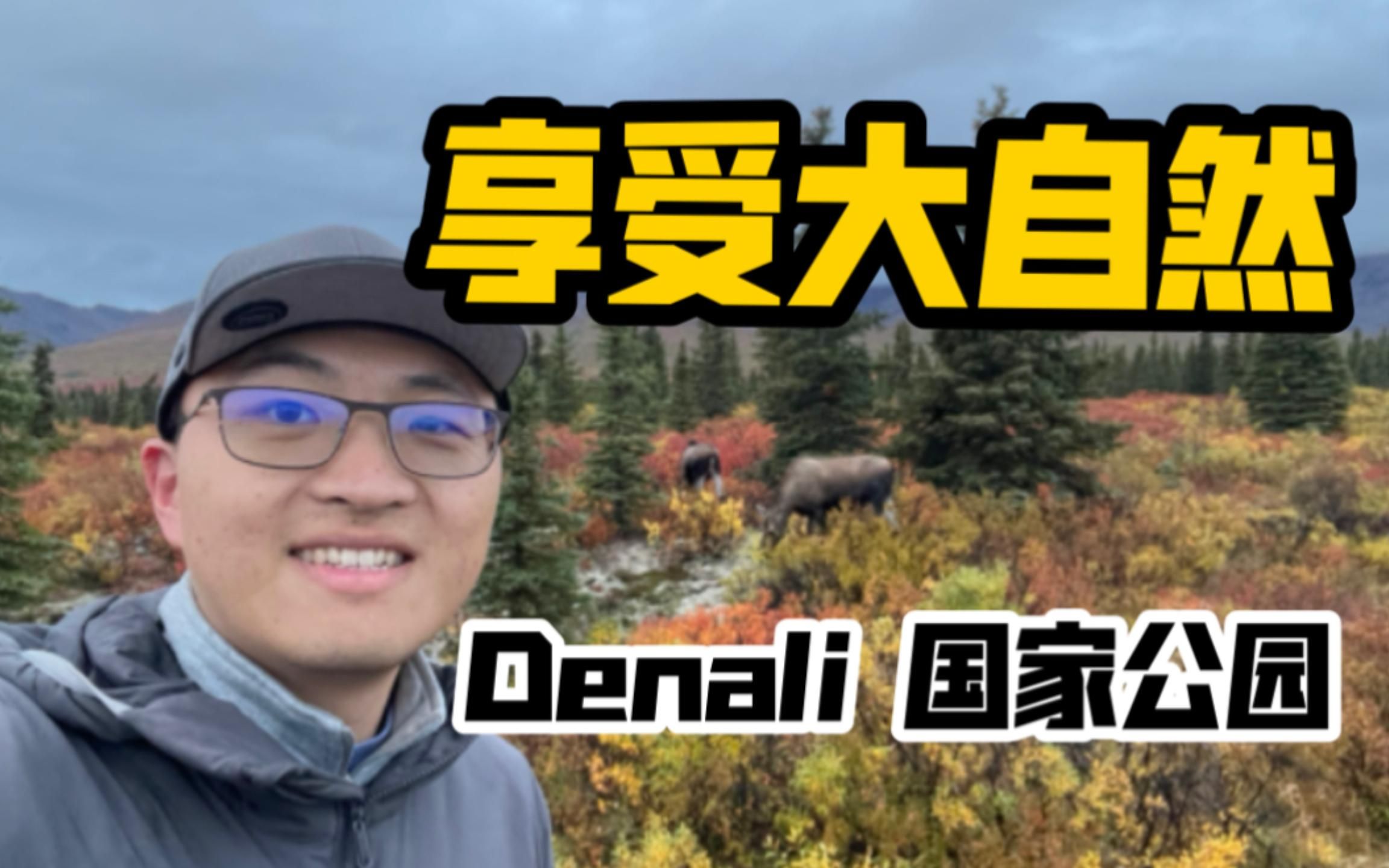 【阿拉斯加】我心中最佳的国家公园|Denali 国家公园哔哩哔哩bilibili