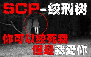 Scp 2125 搜索结果 哔哩哔哩弹幕视频网 つロ乾杯 Bilibili