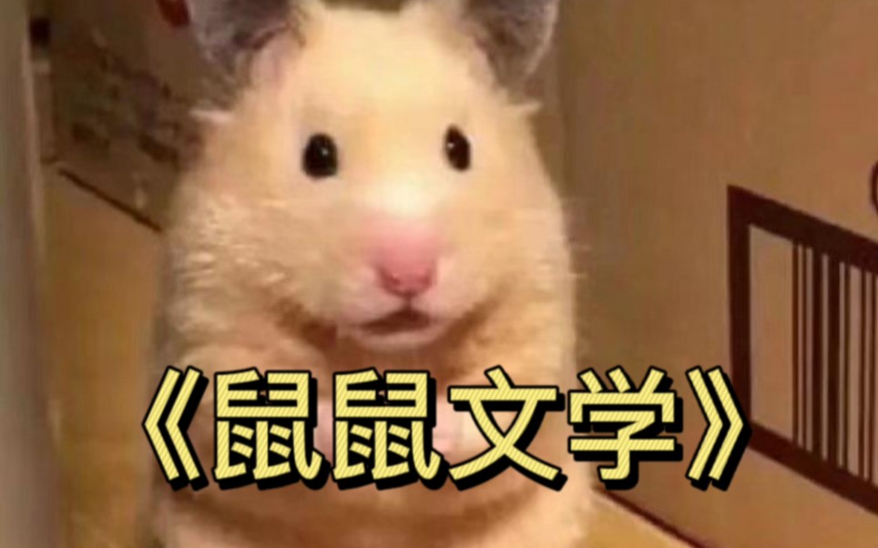 鼠鼠文学是什么梗_鼠鼠生活馆自营店怎么样 鼠鼠文学是什么梗_鼠鼠生存
馆自营店怎么样（鼠鼠生活馆自营店怎么样） 谷歌词汇
