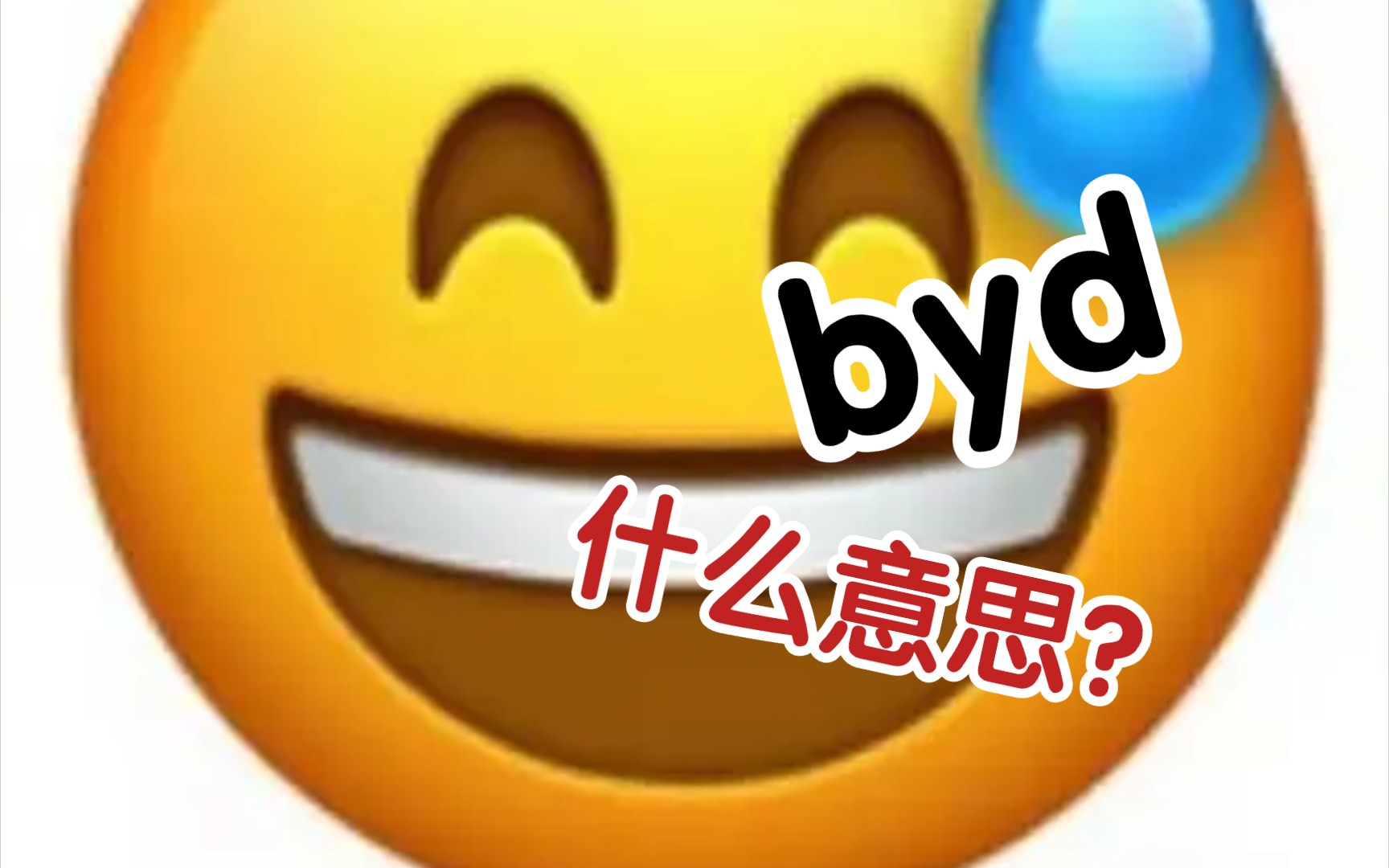 [图]byd是什么梗，为什么南方网友看不明白？【不给梗】