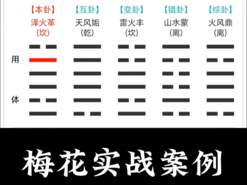 梅花实战案例哔哩哔哩bilibili