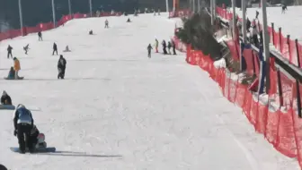 陈尧短摆