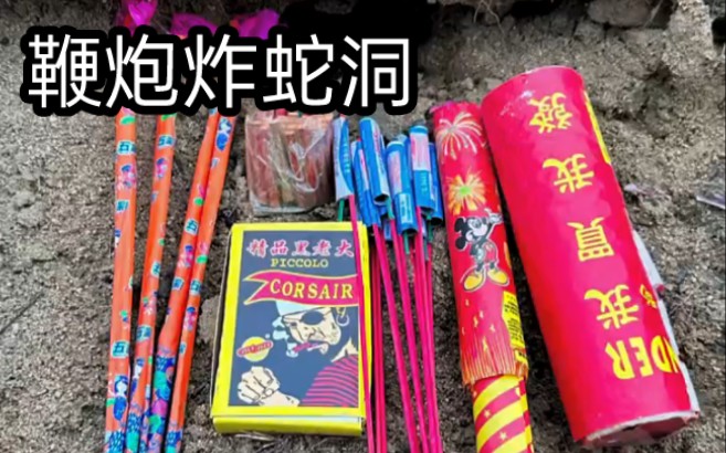鞭炮炸蛇洞,不作死就不会死